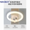 NEWDAYS brand's new cross-border E27 oscillating fan light, 8-inch 5-blade fan, outdoor and courtyard energy-saving lighting, remote control dimming, waterproof and dustproof, best-selling fan Application Scenario